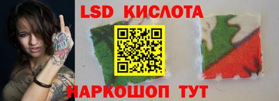 шишки Можга