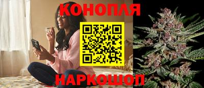 шишки Можга