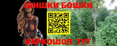 шишки Можга