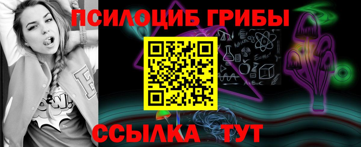 Тобольск  Псилоцибиновые грибы MAGIC MUSHROOMS  Псилоцибиновые грибы прущие грибы  Вход с VPN 